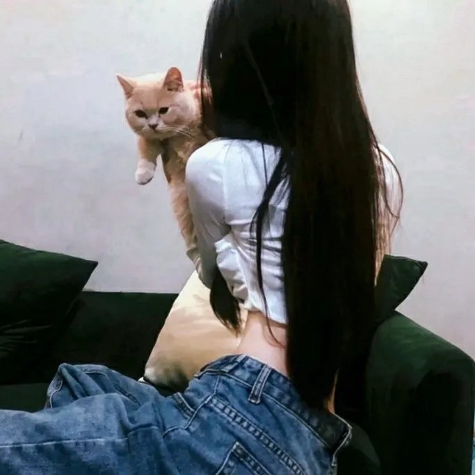 双生杀手